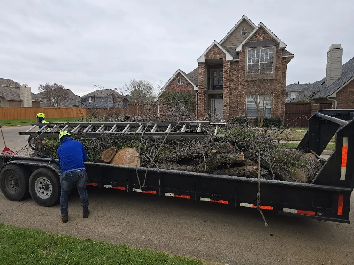 Expert Tree Pest Control with proper safety equipment in Rockford